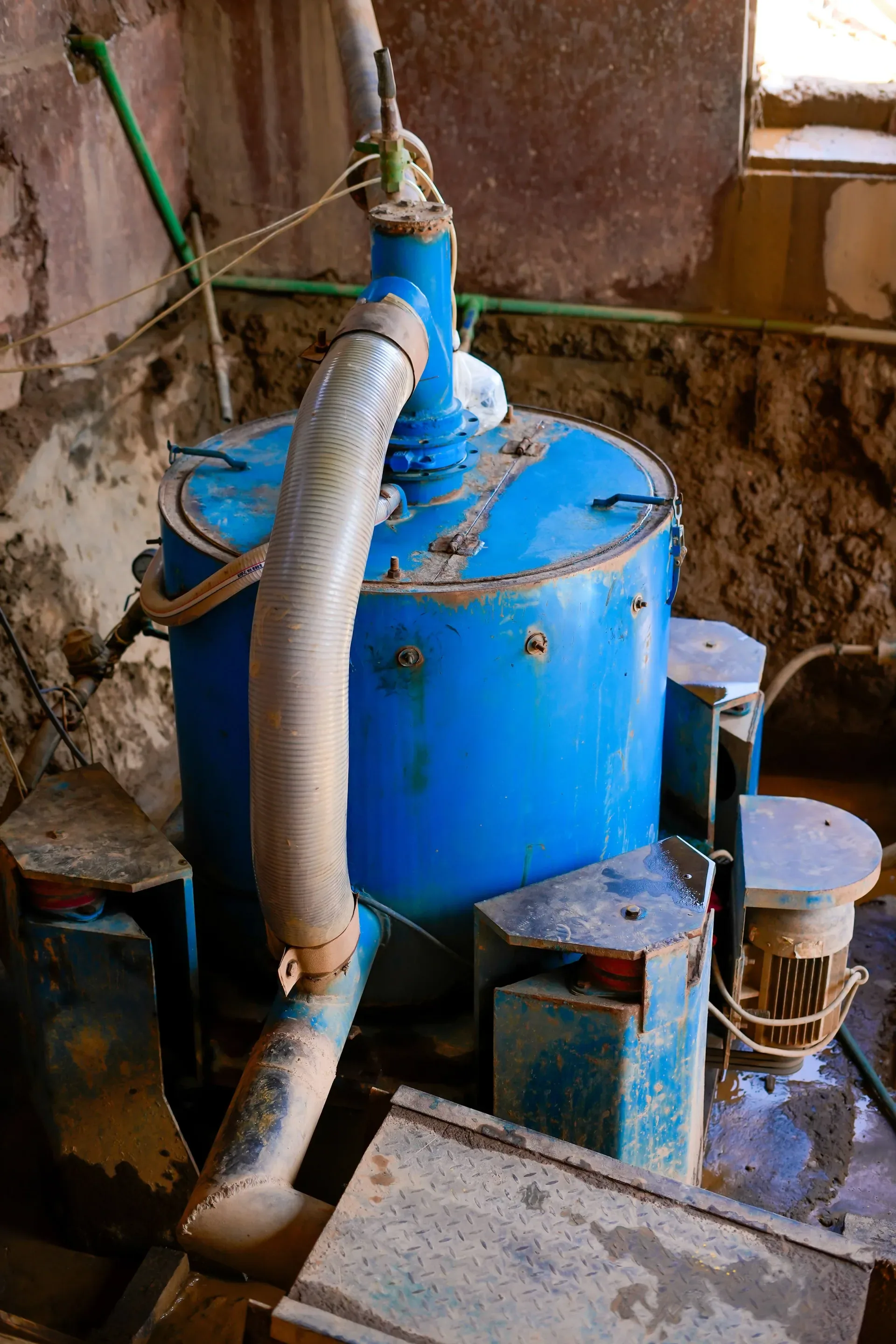 Green Ngoria Supplies — Photograph 22