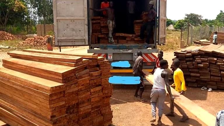 Heavy-duty timber planks for construction, decking, and marine piling.