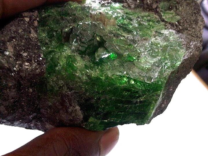 Taita Taveta